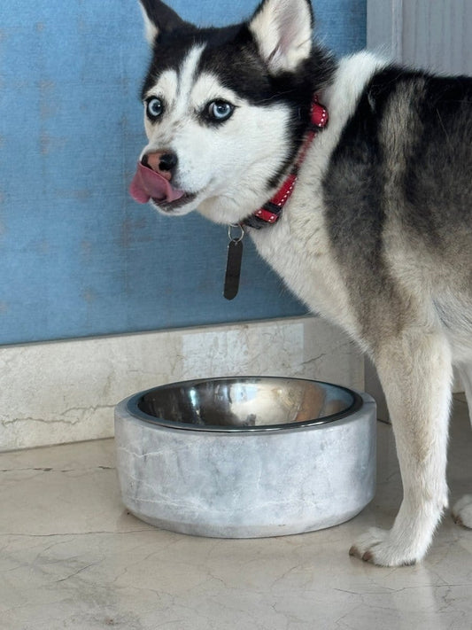 Plato de Mármol para Perro - Arte Guillomé